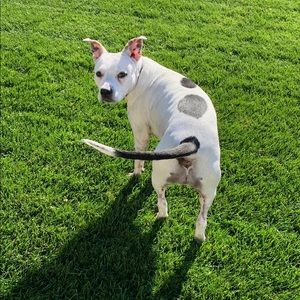 Meet your Posher, Brittany